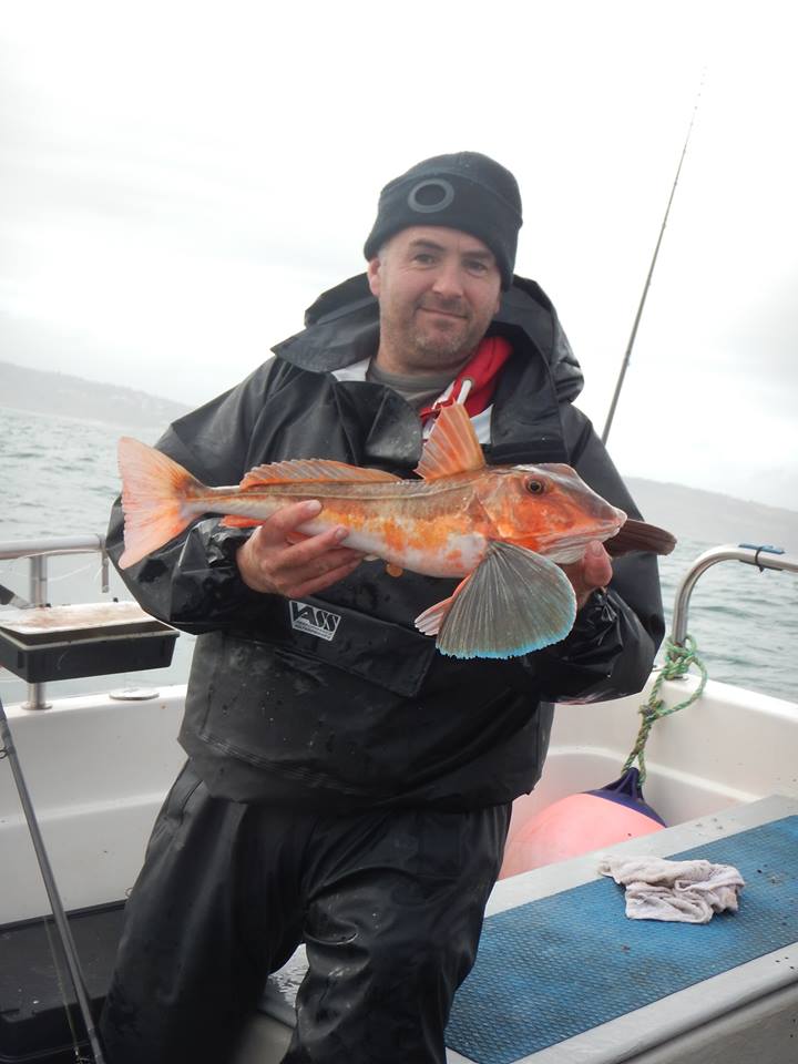 Bill Tub Gurnard Lyme Regis